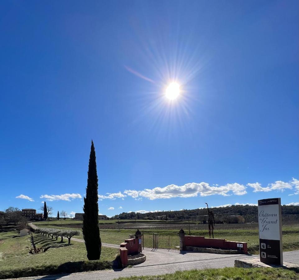 Chateau Du Grand Jas Entrecasteaux Экстерьер фото